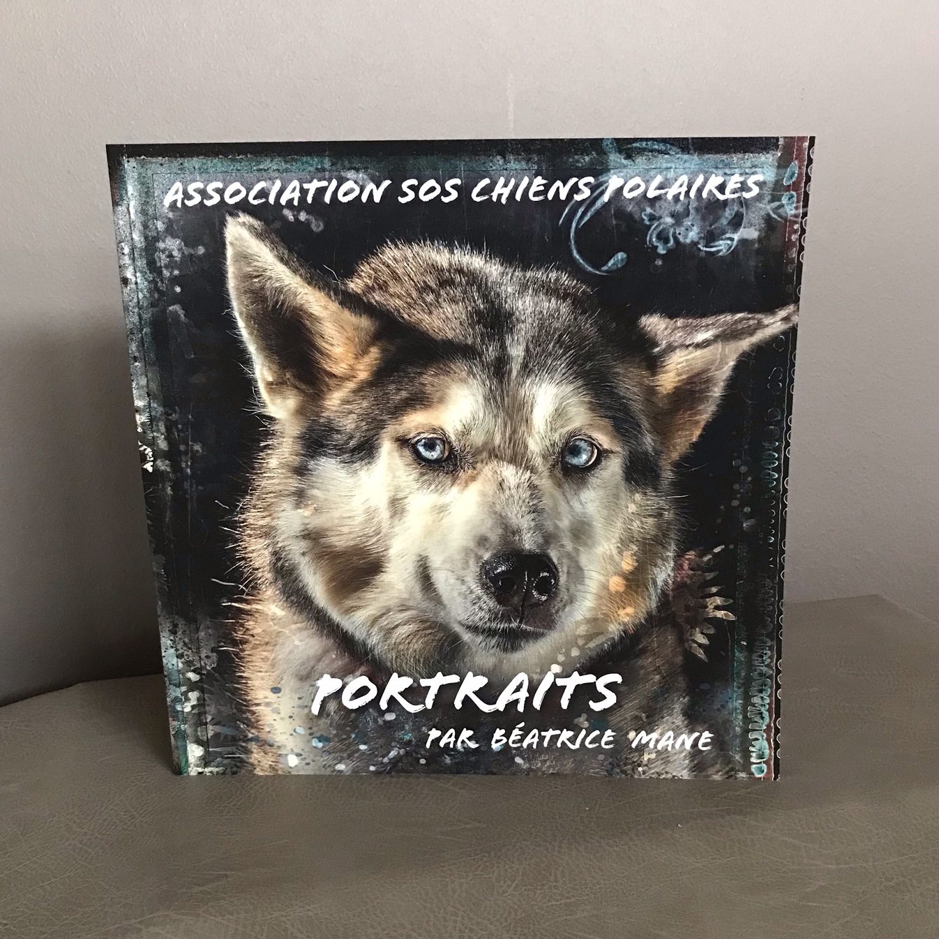 Livre_SOS_chats