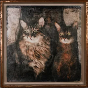 Sibérien et Abyssine