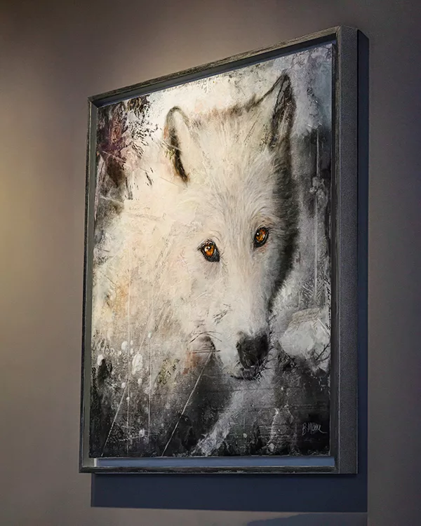 loup_blanc-insitu
