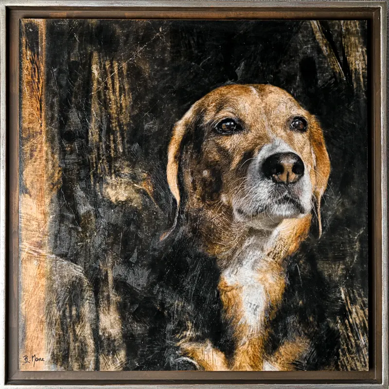 Loup Blanc portrait